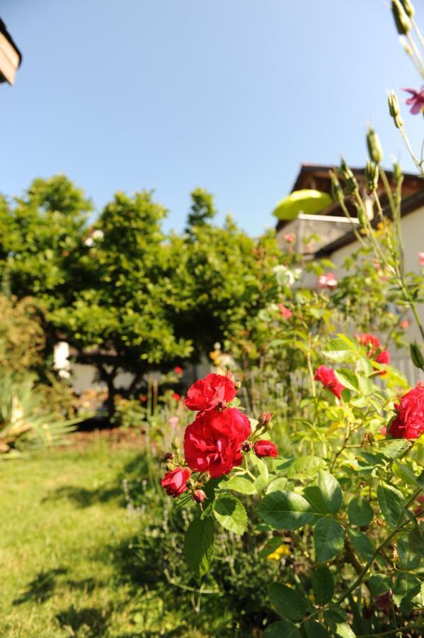 Apartment-Haus Gundelfinger Gräfenberg Kültér fotó