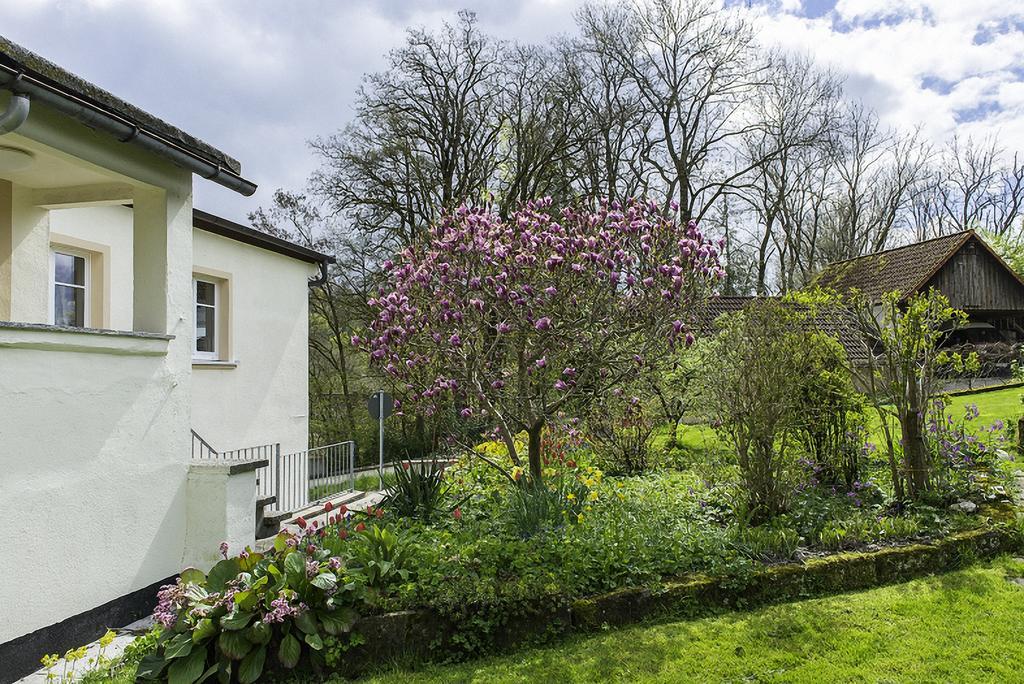 Apartment-Haus Gundelfinger Gräfenberg Kültér fotó